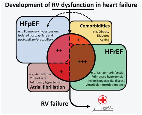 lv ejection fraction 60-65|systolic vs diastolic heart failure.